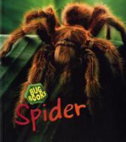 Spider