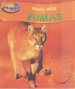 Puma Puma