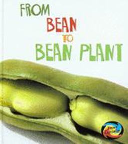 From Bean to Bean Plant