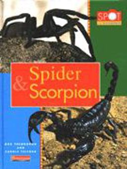 Spider and Scorpion