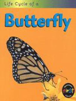 Life Cycle of a Butterfly