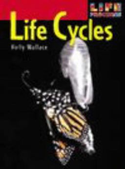Life Cycles