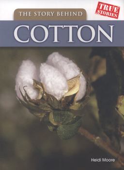 The Story Behind Cotton