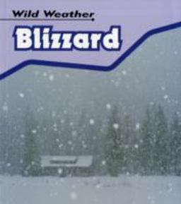 Blizzard