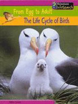 The Life Cycle of Birds