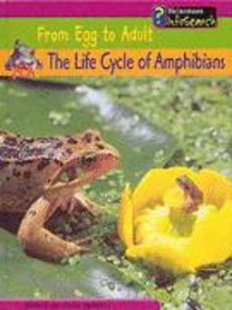 The Life Cycle of Amphibians