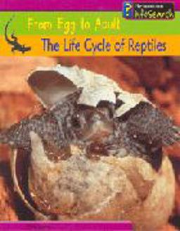 The Life Cycle of Reptiles