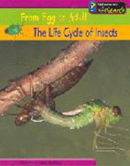 The Life Cycle of Insects