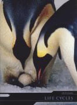 Life Cycles