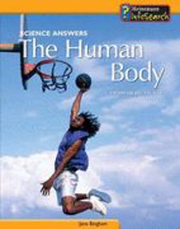 Human Body