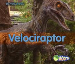 Velociraptor