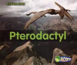 Pterodactyl