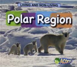 In a Polar Region