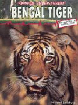 Bengal Tiger