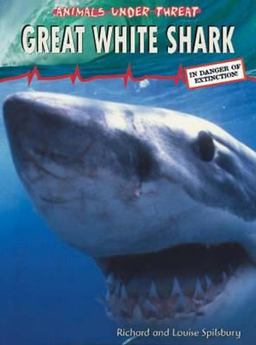 Great White Shark