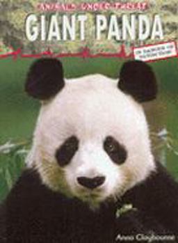 Giant Panda
