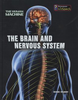 Brain and Nervous System