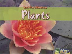 Spot the Difference Plants