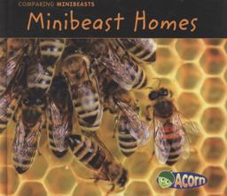 Minibeast Homes