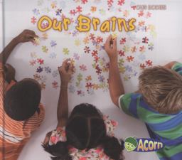 Our Brains