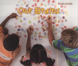 Our Brains