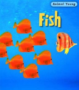 Animal Young Fish 2nd Edition HB