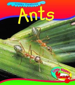 Ants