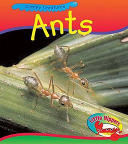 Ants