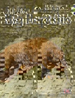 Bug Club Guided Non Fiction Year 1 Blue B a Little Look at Big Reptiles