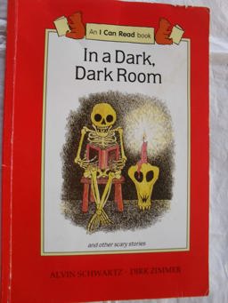 In a Dark, Dark Room and Other Scary Stories