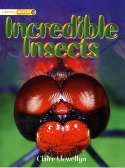 Incredible Insects