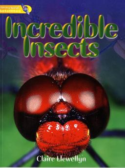 Incredible Insects