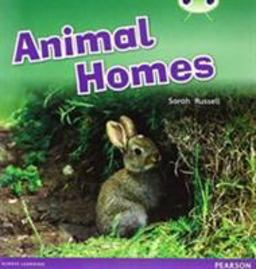 Bug Club Pink Wave 2 Starter Pack