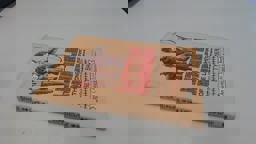 Little Runner of the Longhouse