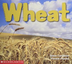Wheat