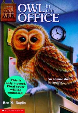 Owl in the Office