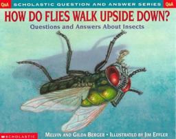 How Do Flies Walk Upside Down?