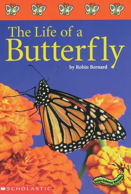 Life of a Butterfly