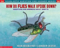 How Do Flies Walk Upside Down?