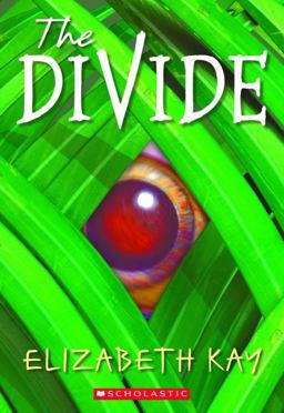 Divide  9780439543439 Front Cover