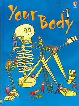 Your Body