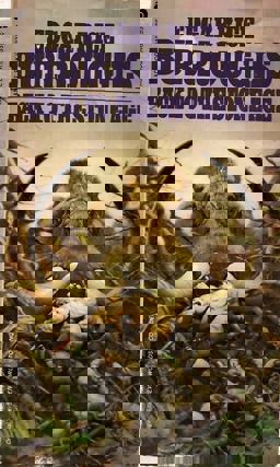 Back to the Stone Age