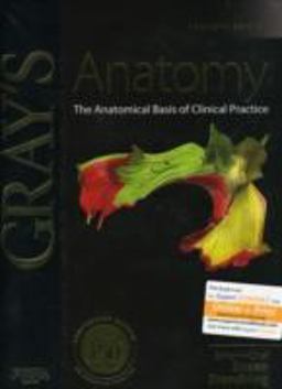 Anatomy The Anatomical Basis of Clinical Practice 40th 9780443066849 Front Cover