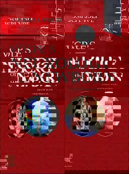 Volpe's Neurology of the Newborn 7th 9780443105135 Front Cover