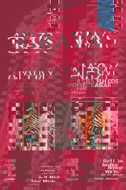 Gray's Anatomy for Students Flash Cards 5th 9780443105142 Front Cover