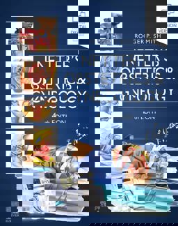 Netter's Obstetrics and Gynecology 4th 9780443107399 Front Cover