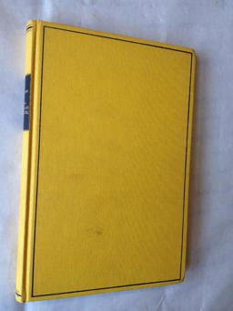 Non-Standard Analysis