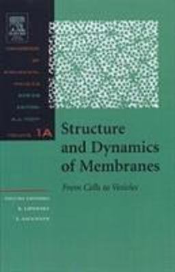 Structure and Dynamics of Membranes