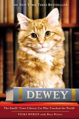 Dewey The Small-Town Library Cat Who Touched the World  9780446407410 Front Cover