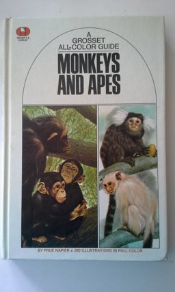 Monkeys and Apes